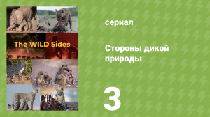 Стороны дикой природы 3 серия «Время взросления» (документальный сериал, 2023)