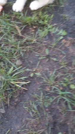 1000001675.mp4я
