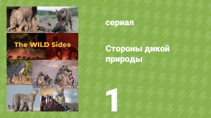 Стороны дикой природы 1 серия «Засуха» (документальный сериал, 2023)