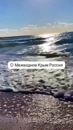 Тархамкут