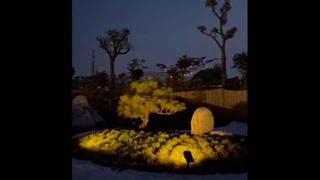 Solar Lawn Light