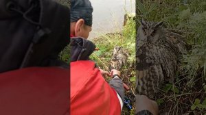 Второй год на водохранилище