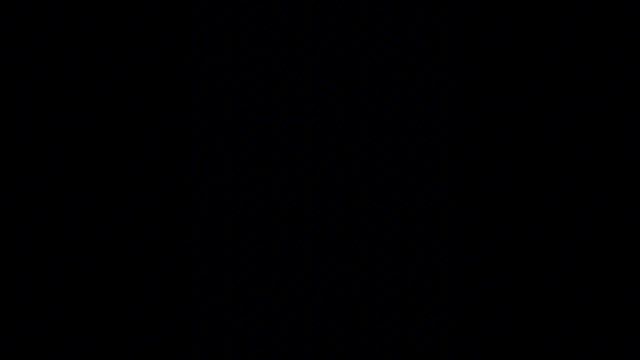 1000004675.mp4