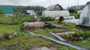 Завтрак овощи на гриле.
