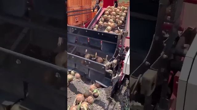 Китайская сельскохозяйственная механизация.