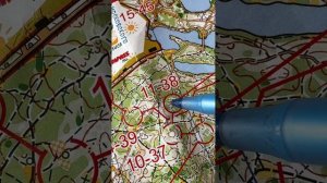 1.07.25 серебряный бор зазеленел