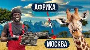 Как африканец попал в Москву | Снятие форсунок на Cayenne | Мойка радиаторов