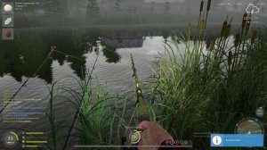 РР4 ФАРМ ОСТРОГ ЛЕЩ!