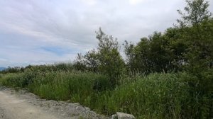 участок новотроицкое ижс