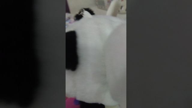 1000066852.mp4