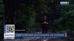 В Новороссийске представлен арт-проект о светлячках, созданный с помощью ИИ