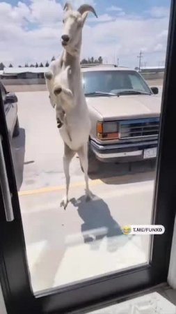 Добрый день, я к вам!😅