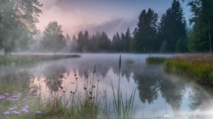 Спокойный летний вечер на озере. Асмр звуки природы для отдыха и разгрузки нервной системы.