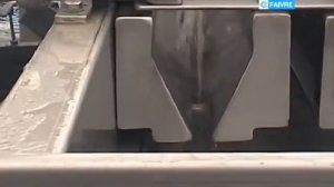 Сортировка и подсчет моркого окуня массой от 40 г до 60 г на рыбной ферме   FAIVRE