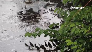 Ты не вернёшься