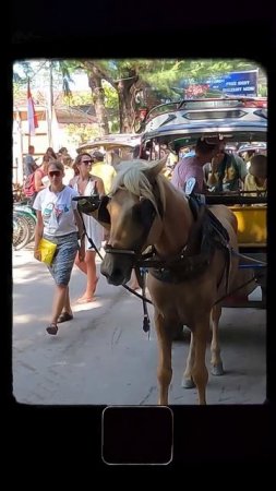 Бали с семьей часть 9 - ГИЛИ: райские ли это острова на самом деле ???