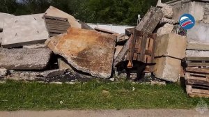 Пушистые герои: Международный день собак в Ногинском спасательном центре