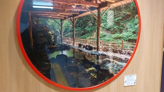 Вид на фотографию в Сэндае