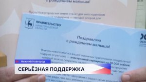 Родительский основной доход «Основа» начали выплачивать нижегородским семьям с детьми