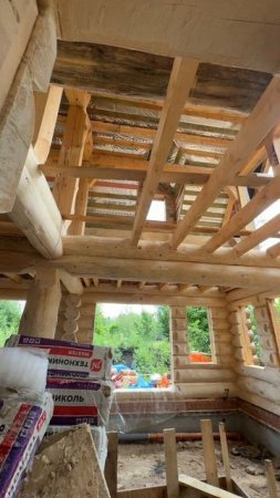 Дерево - это искусство, созданное природой 🏡 хотели бы себе такой дом?