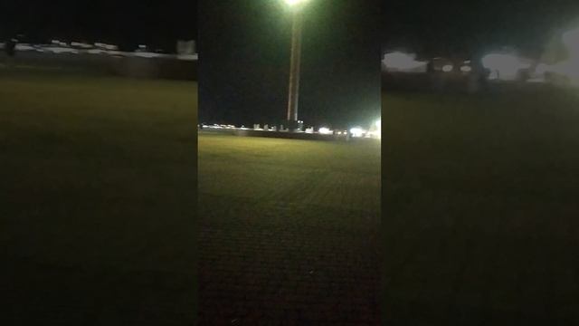Монолог на побережье моря
