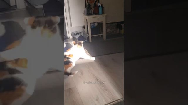1000052720.mp4