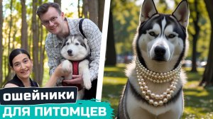 Тренд 2025 - украшения для животных