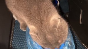 Мой друг всё ещё едет ко мне, жду не дождусь)