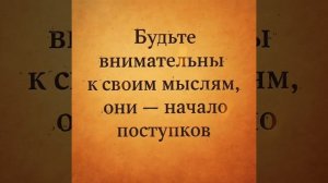 Статусы и цитаты 6