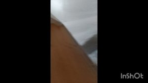 растения против Зомби 26 серия 2 часть