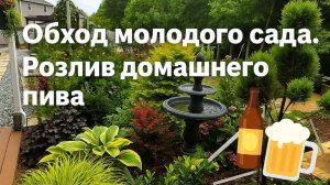 Байки сша. Разливаем домашнее пиво. Обхожу летний сад. Южная Каролина