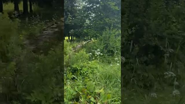 Лесная дача у реки. Пермский край смотреть онлайн