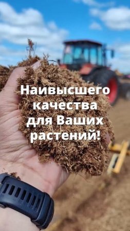 Торфодобыча_БиоМастер