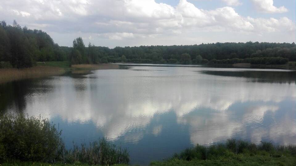 Знакомство с автором. Марк Лэйм.