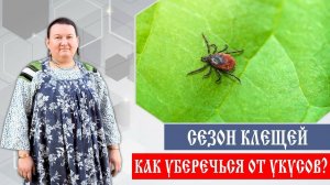 Сезон клещей | Как уберечься от укусов | Арина Никитина