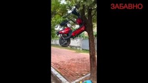 СМЕШНЫЕ ПРИКОЛЫ! ОТБОРНЫЙ ЮМОР!