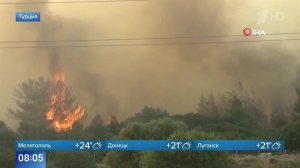 Очевидцы публикуют кадры лесного пожара в курортном районе Чешме в Турции