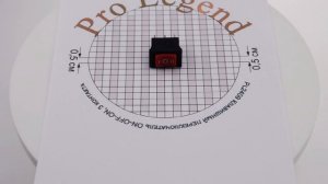 PL2409