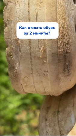 СУПЕР-ЛАЙФХАК 💜🧽