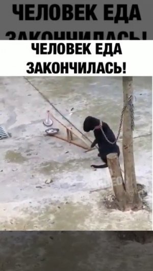 _-eda-zakonchilas