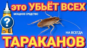 ЭТО УБЬЁТ ВСЕХ ТАРАКАНОВ . Как просто и быстро избавиться от тараканов