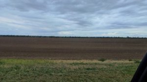 Поля, дорога, небо и лето