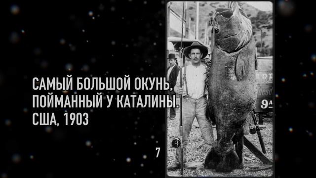 15 РЕДКИХ фотографий, которые оживила нейросеть!