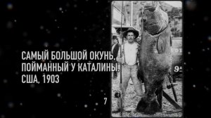 15 РЕДКИХ фотографий, которые оживила нейросеть!