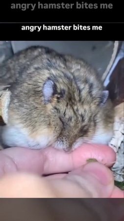 Самые милые объятия 🥰