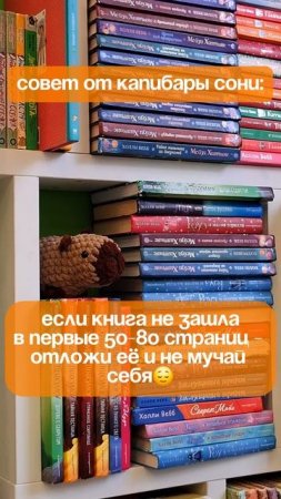 Совет от капибары Сони
#акдб