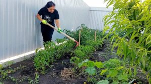 264. УЕХАЛИ НА 5 МИНУТ, ОСТАЛИСЬ НА ПОЛ ДНЯ. В НАС НИ КТО НЕ ВЕРИЛ  НЕ ТОРОПИМСЯ С ПЕРЕЕЗДОМ