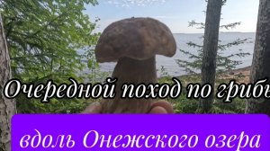 Поход по грибы вдоль Онежского озера