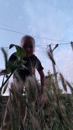 смотрим на эти плести