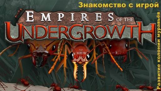 Empires of the Undergrowth №2 смотреть онлайн